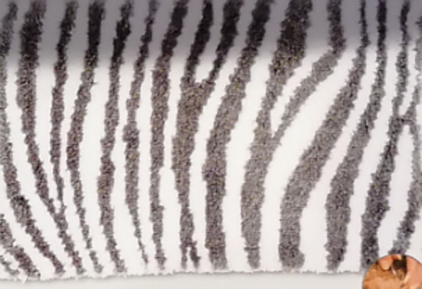 knoopvormtapijt smyrna zebramotief