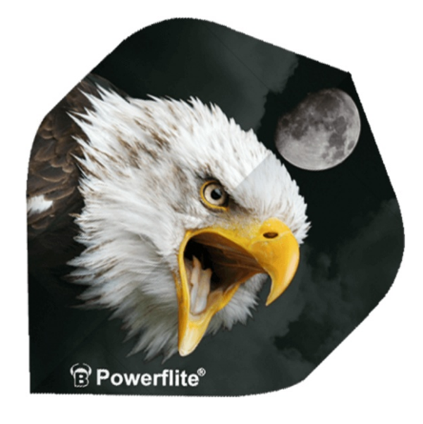 Bull's flight zeearend