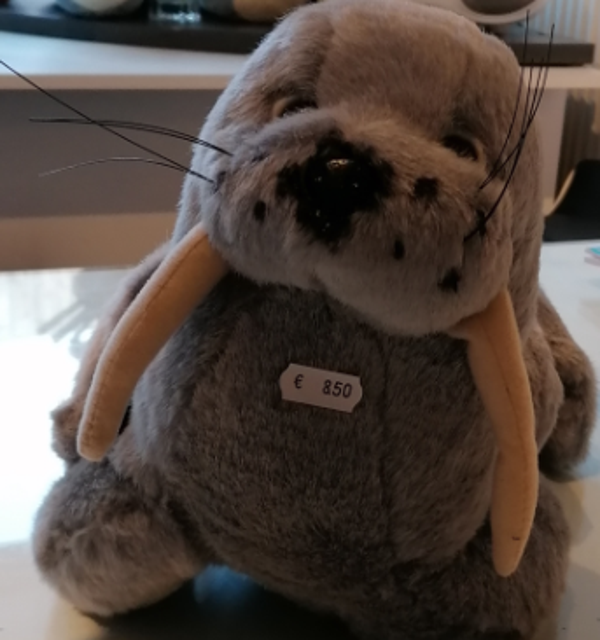 Knuffel zeehond