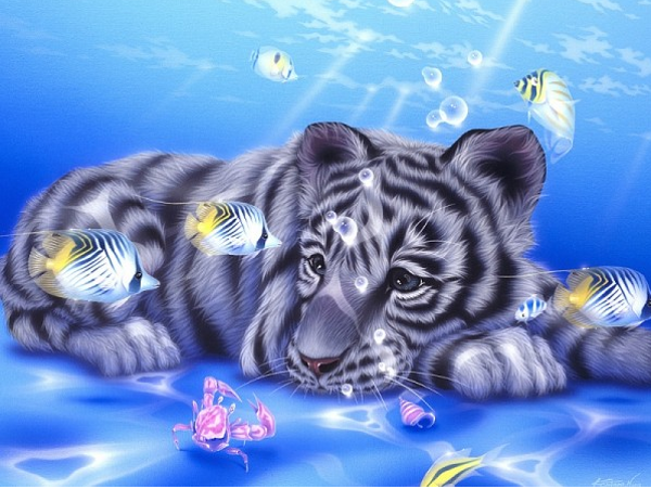 zee tijger