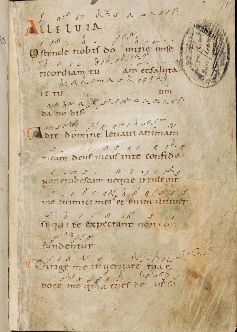 e-codices_sbe-0121_001_medium-standard-4w1b91.jpg