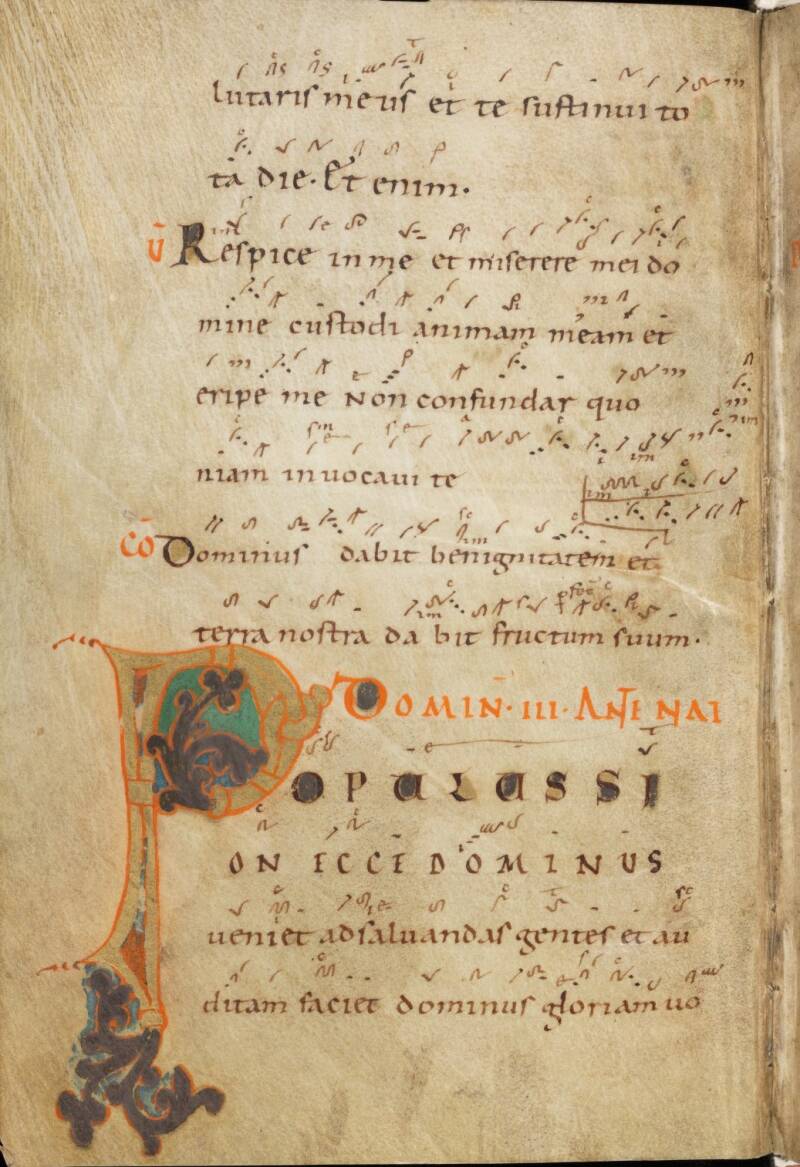 e-codices_sbe-0121_002_medium-standard-e83d2f.jpg