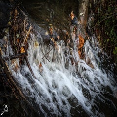 img_8661.jpg