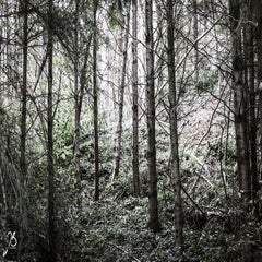 img_8708.jpg