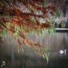 img_8641.jpg