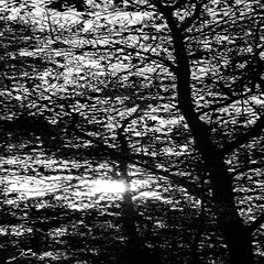 img_8579.jpg