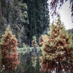 img_8719.jpg