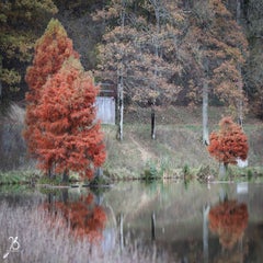 img_8706.jpg