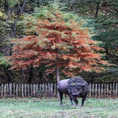 img_8693.jpg