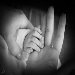 img_6681.jpg