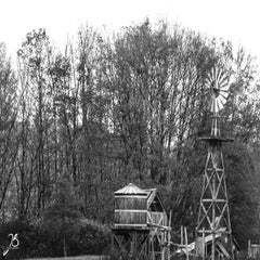 img_8663.jpg