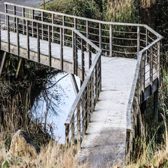 img_8586.jpg