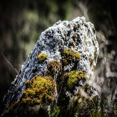 img_9760.jpg
