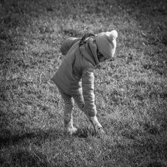 img_8473.jpg