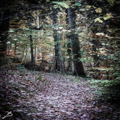 img_8776.jpg