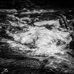 img_8637.jpg
