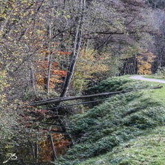 img_8657.jpg