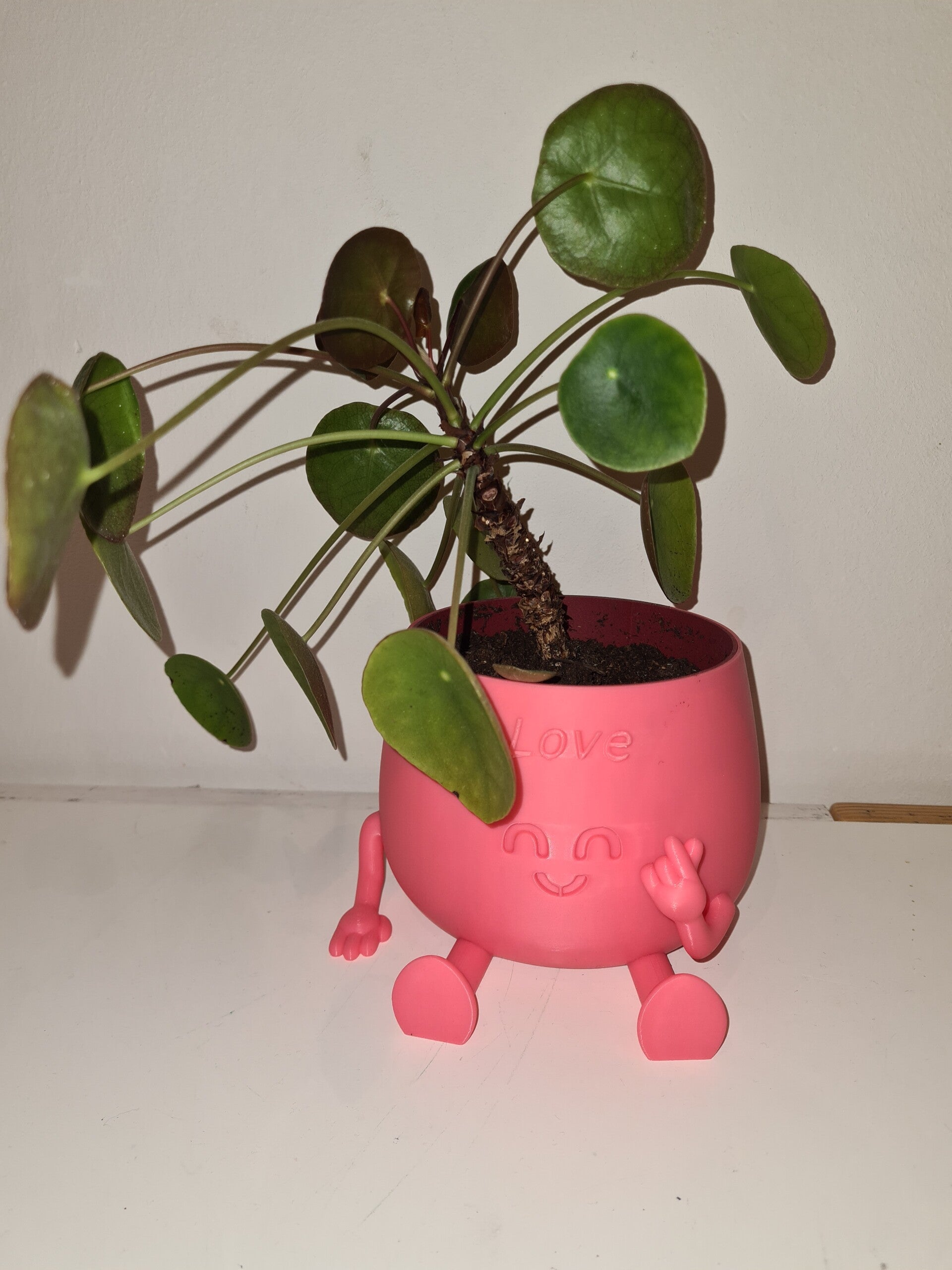 Happy Pot: Valentijn opschrift ''Love''