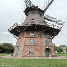 image-2-standard.webp