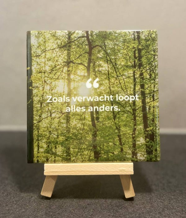 Zoals verwacht loopt alles anders