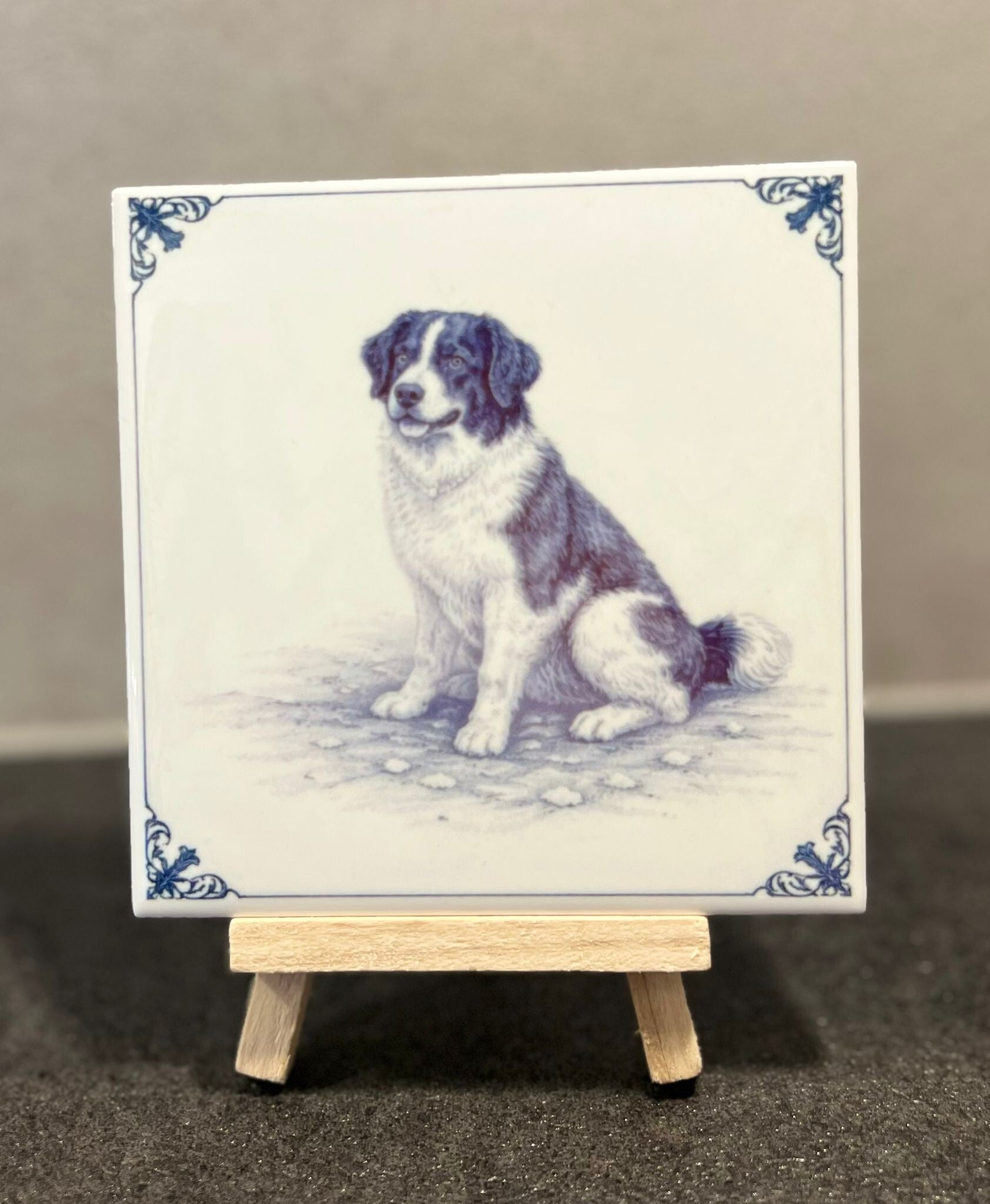 Border collie Delftsblauw