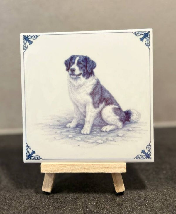 Border collie Delftsblauw