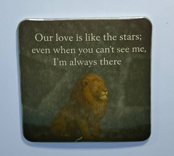 Magneet our love is like the stars