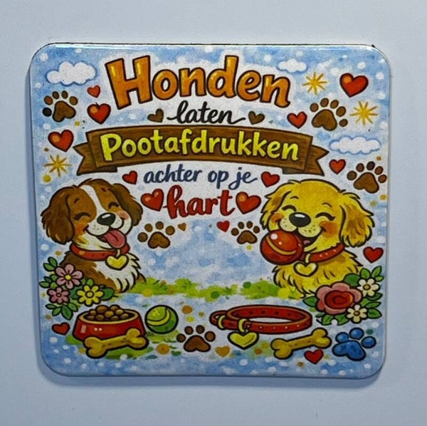 Magneet pootafdrukken