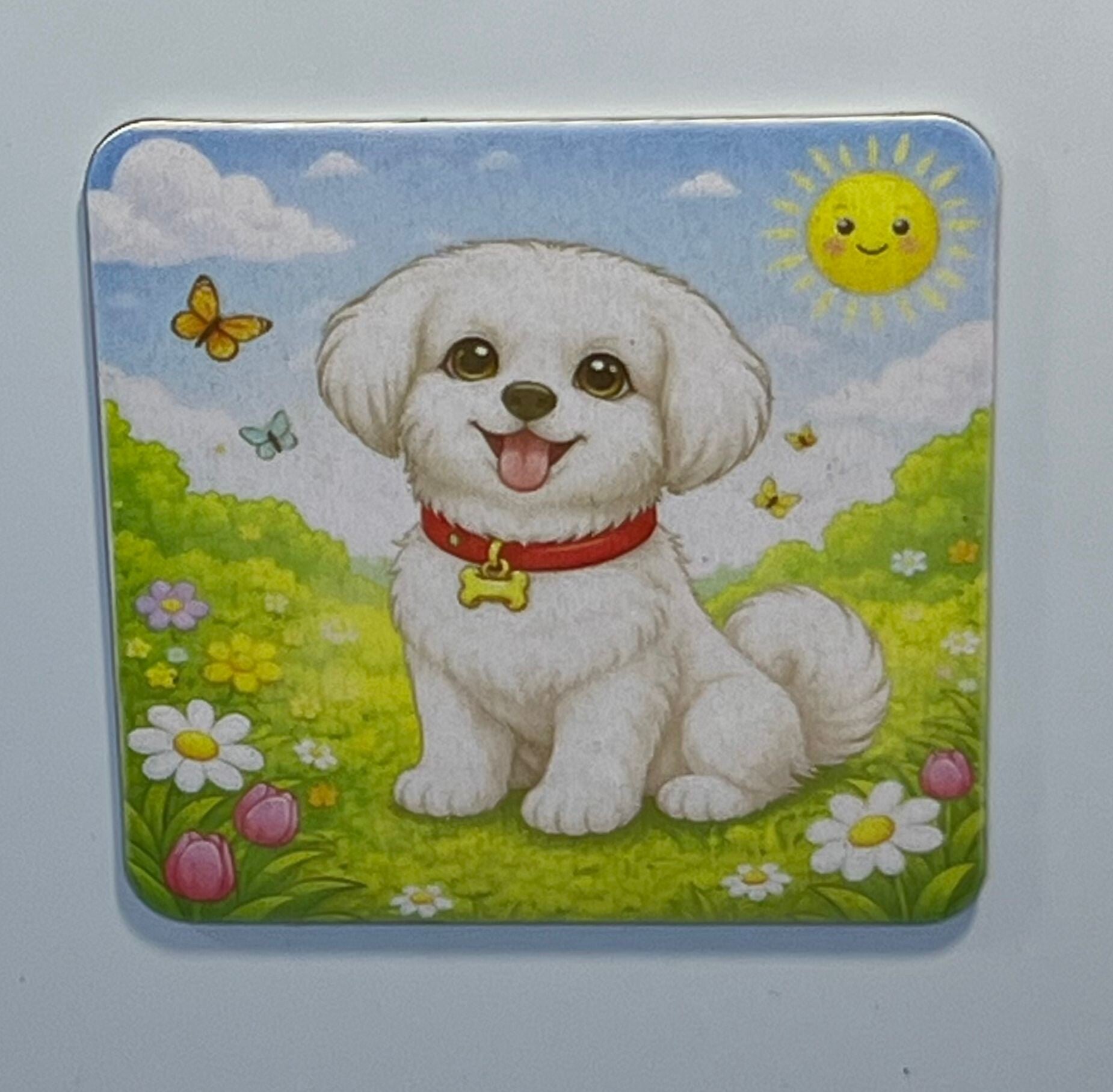 Magneet maltezer
