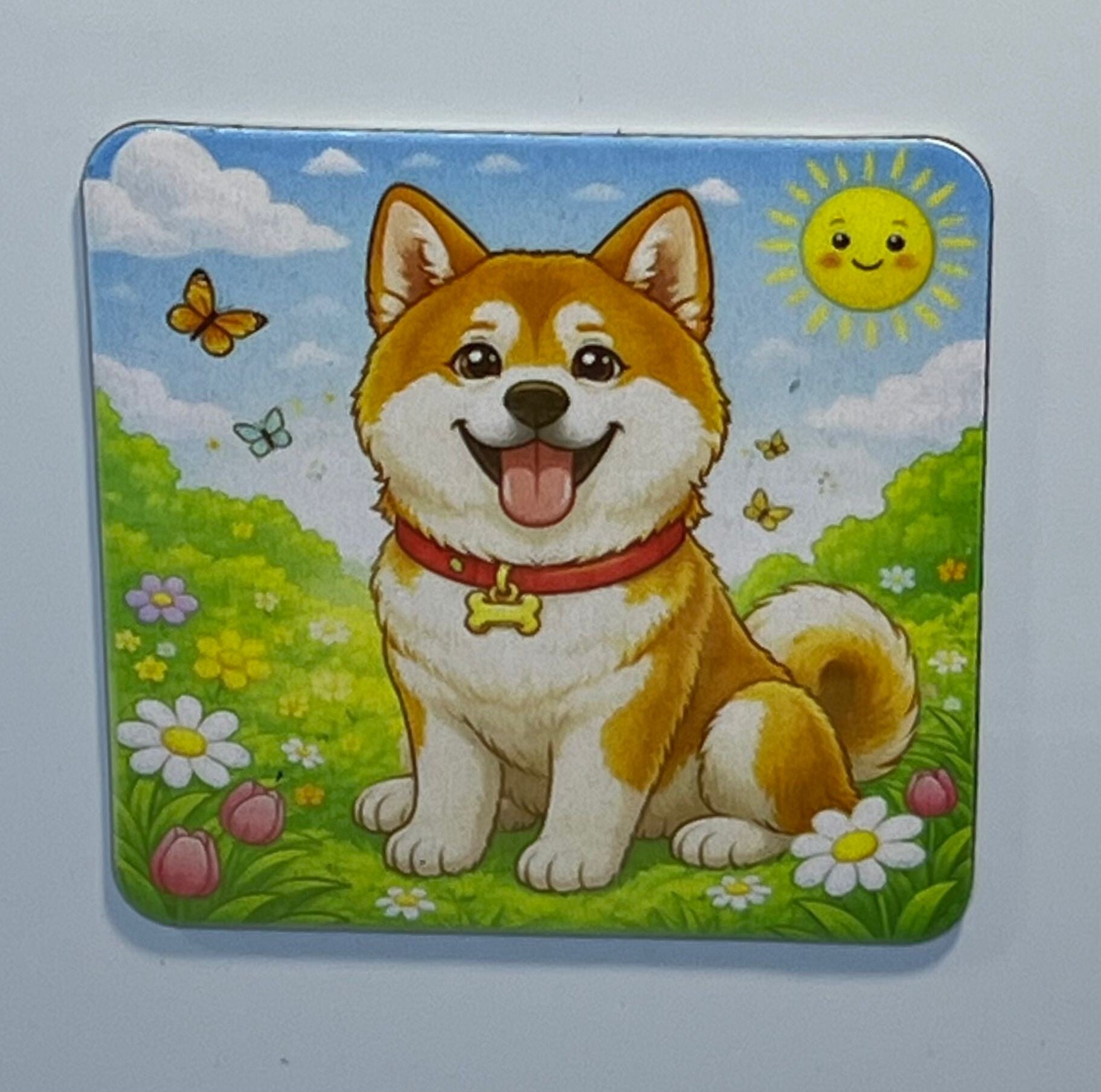 Magneet akita