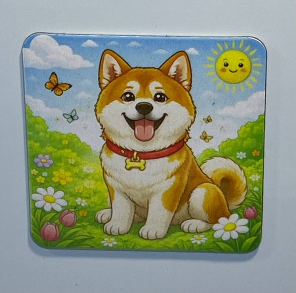 Magneet akita