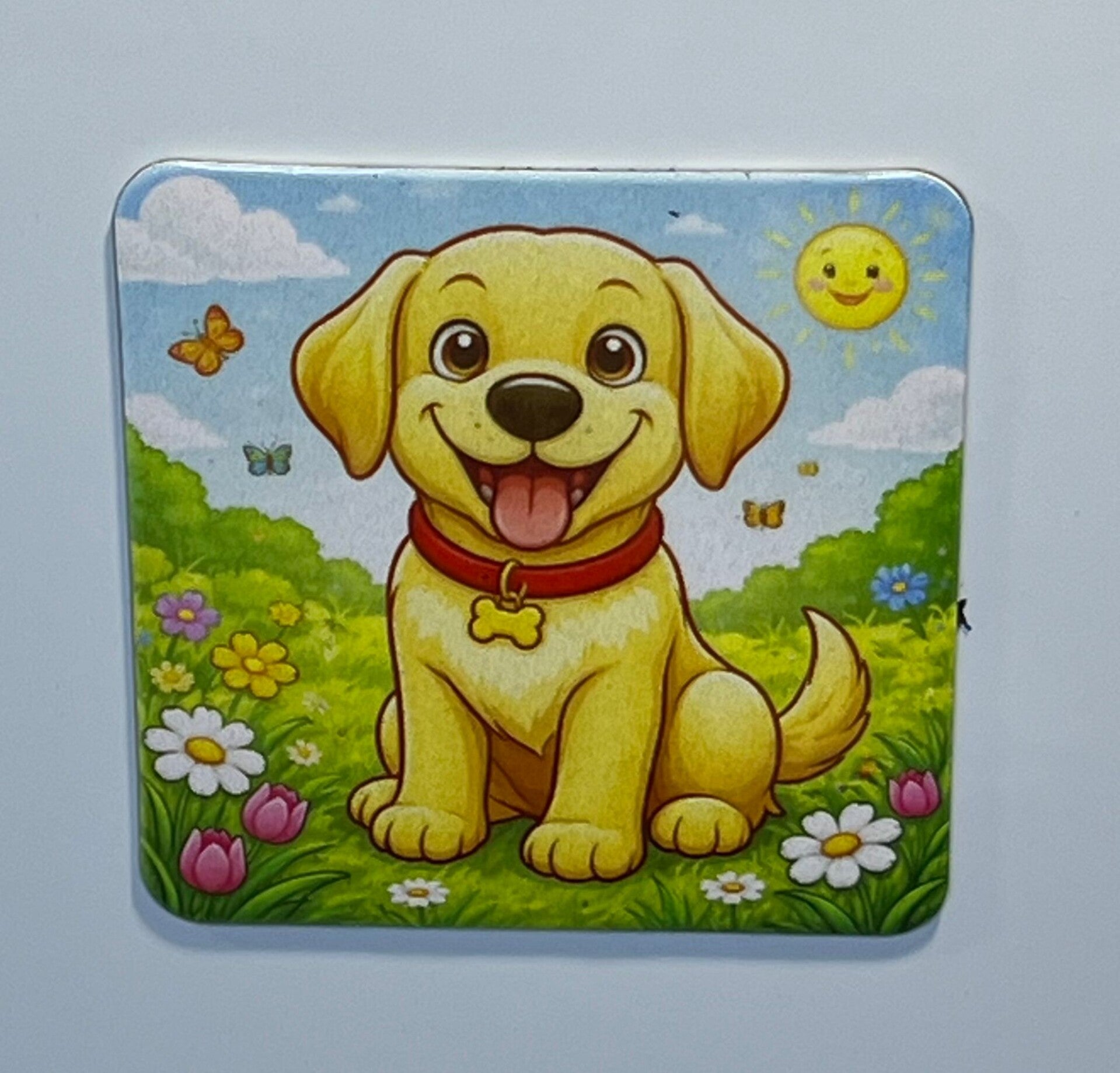 Magneet labrador