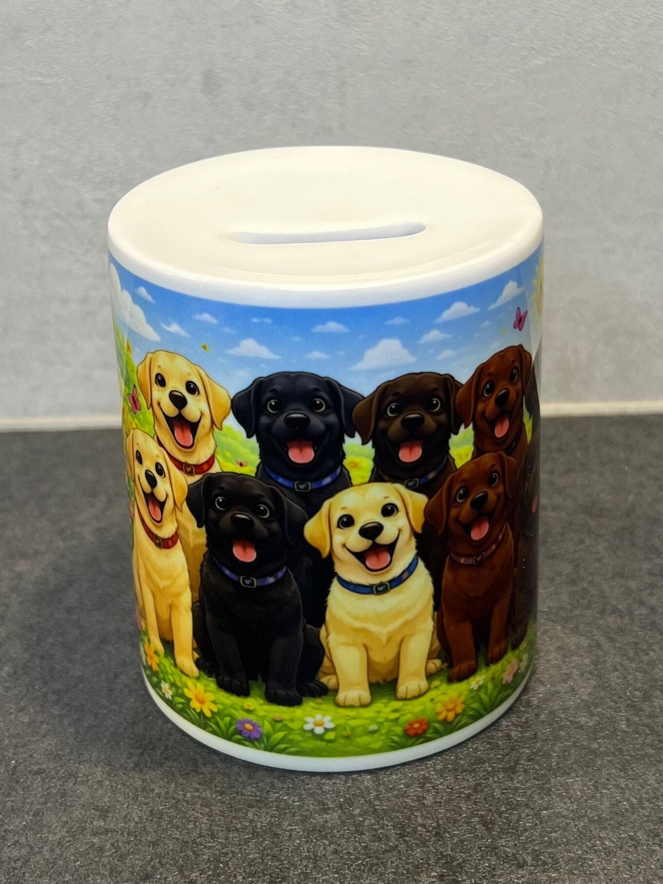 Spaarpot labradors