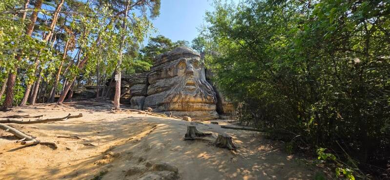 003-zel-zy-the-devils-head-standard.jpg