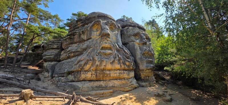 004-zel-zy-the-devils-head-standard.jpg