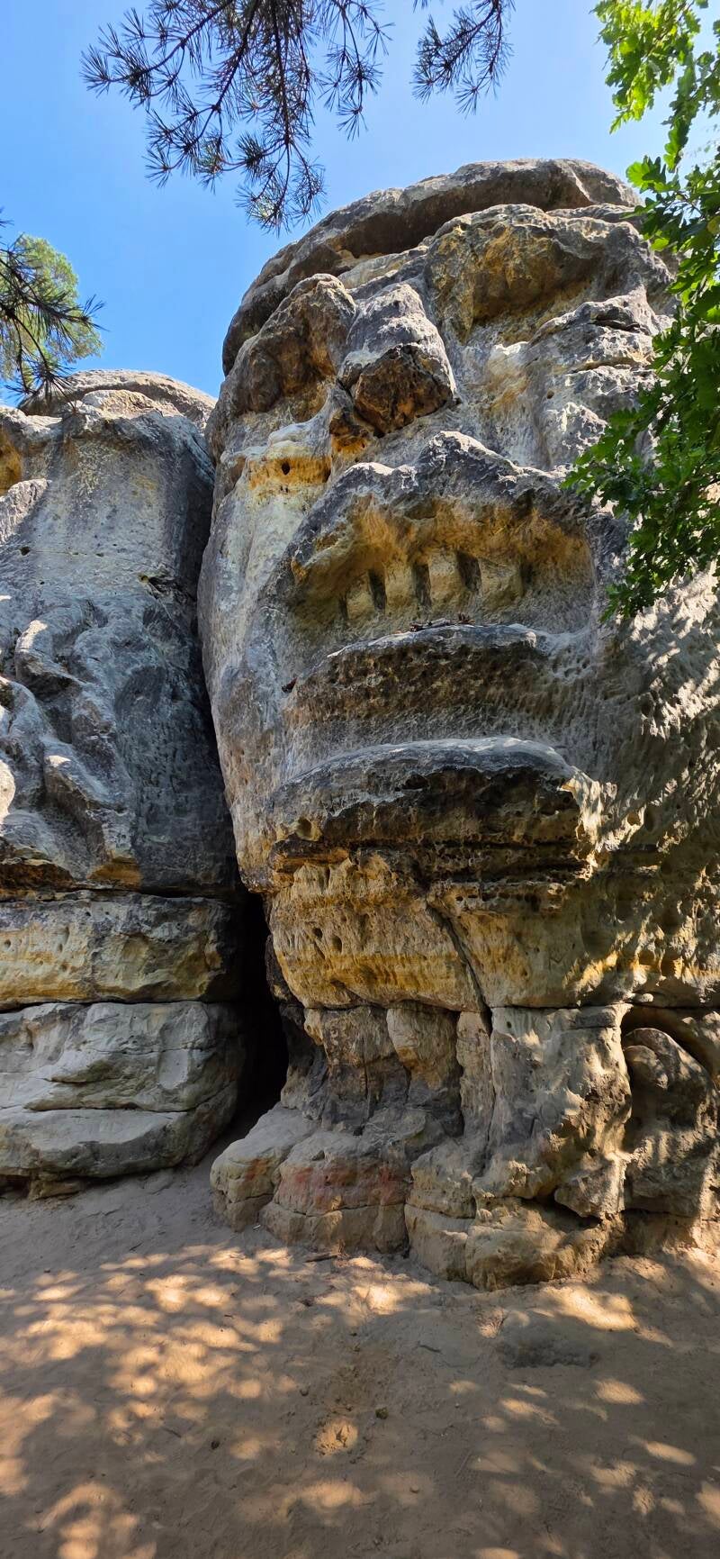008-zel-zy-the-devils-head-standard.jpg