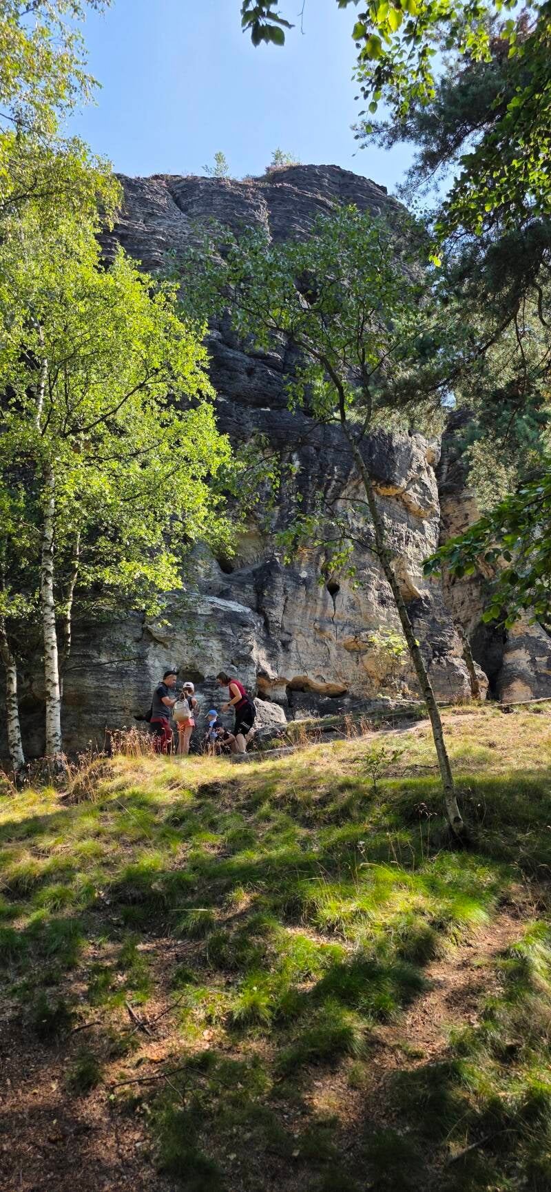 008_tis-tisk-st-ny-rotsen-standard.jpg