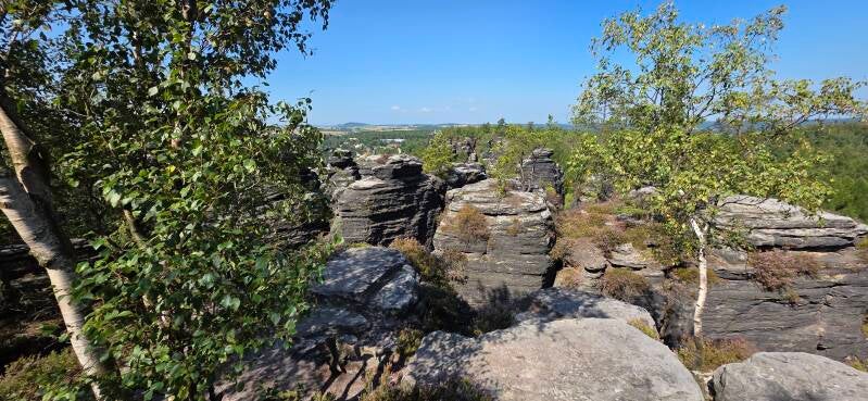 025_tis-tisk-st-ny-rotsen-standard.jpg