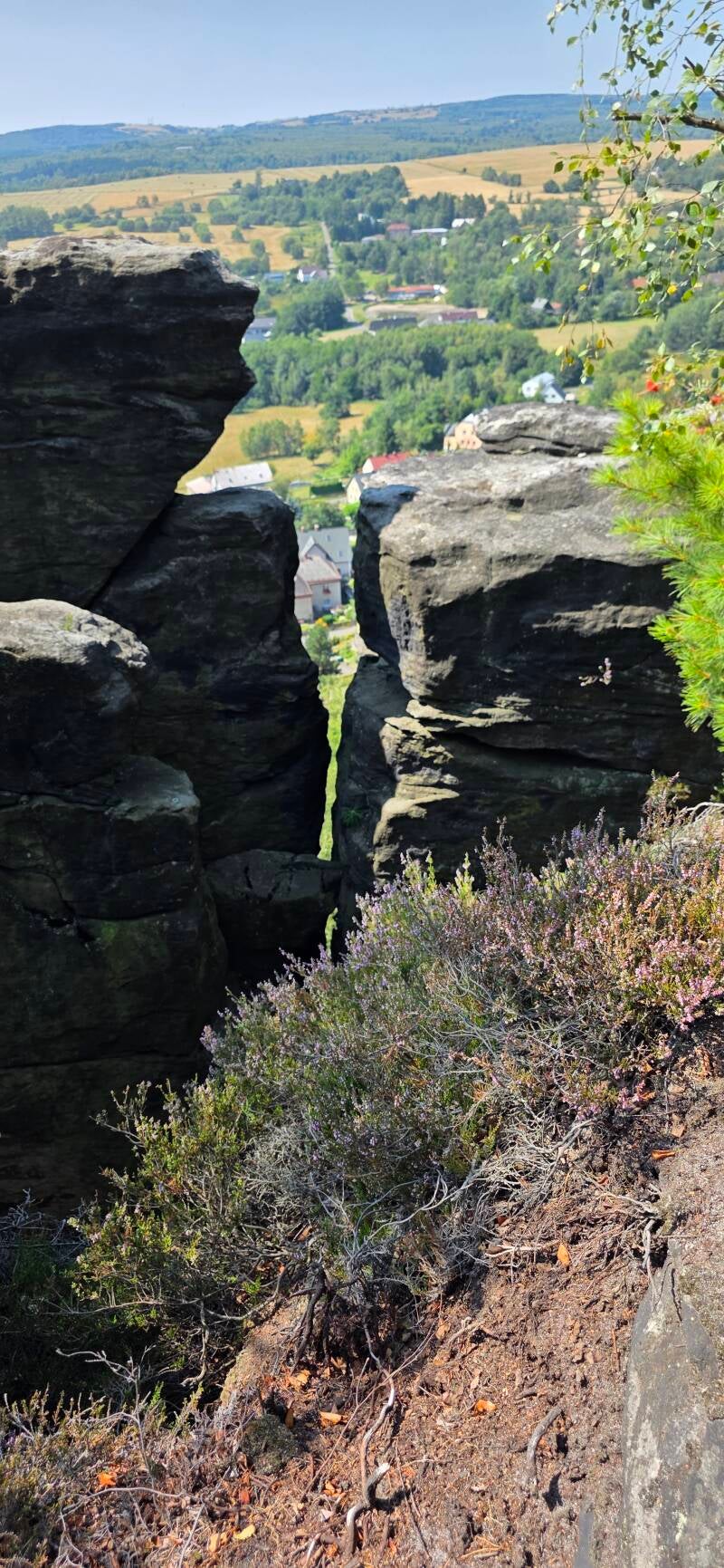 035_tis-tisk-st-ny-rotsen-standard.jpg