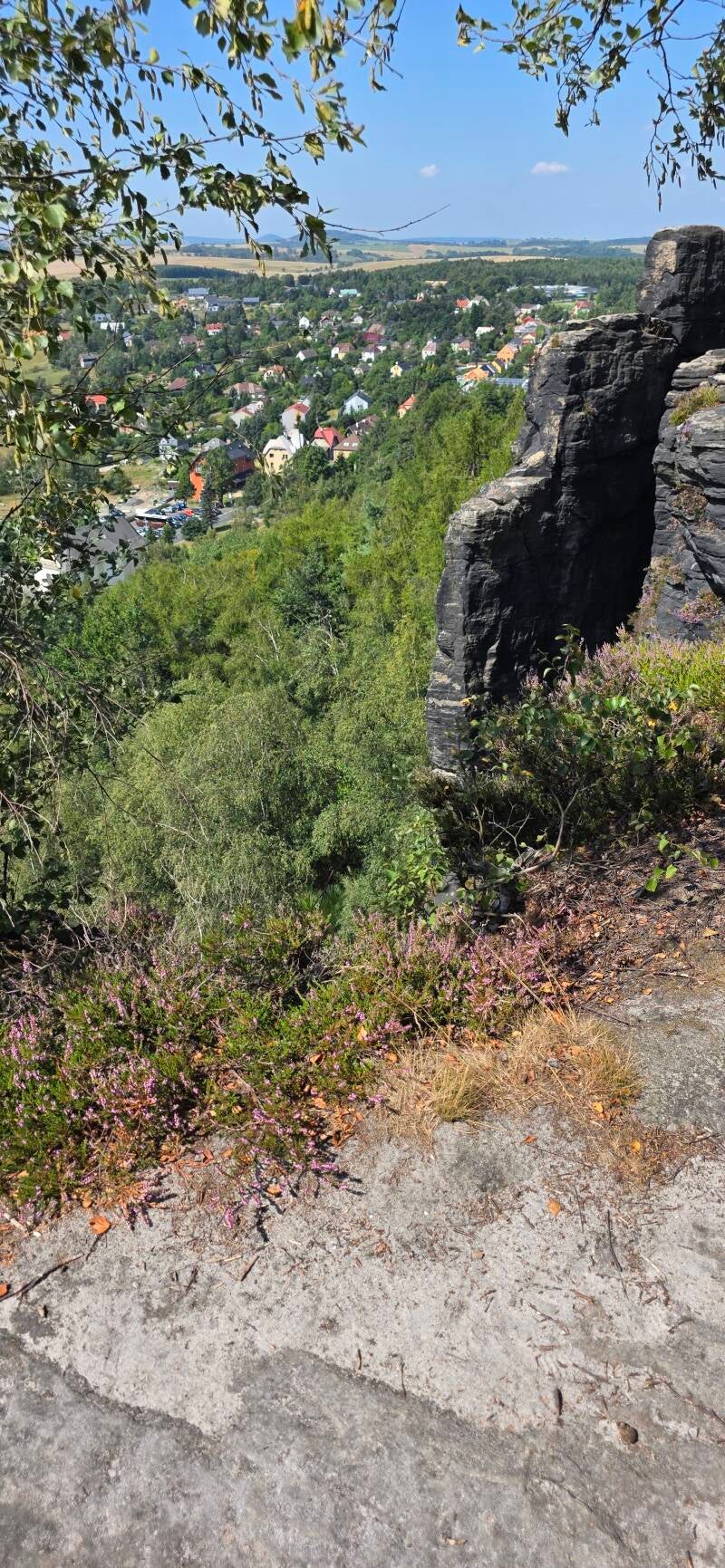 036_tis-tisk-st-ny-rotsen-standard.jpg