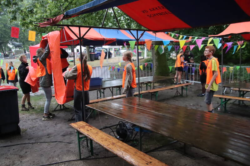 0497-standard.jpg