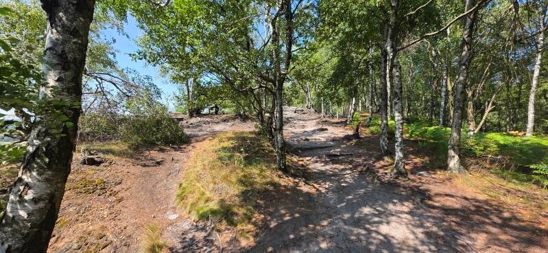 050_tis-tisk-st-ny-rotsen-standard.jpg