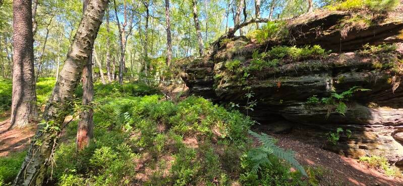 063_tis-tisk-st-ny-rotsen-standard.jpg