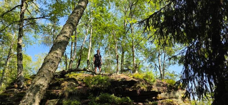 065_tis-tisk-st-ny-rotsen-standard.jpg