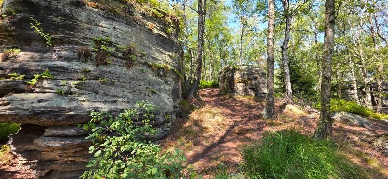 066_tis-tisk-st-ny-rotsen-standard.jpg