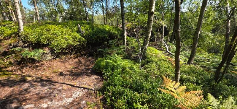 071_tis-tisk-st-ny-rotsen-standard.jpg