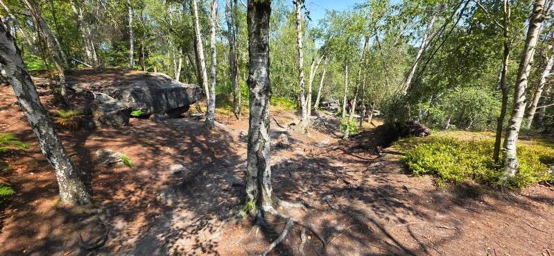 073_tis-tisk-st-ny-rotsen-standard.jpg
