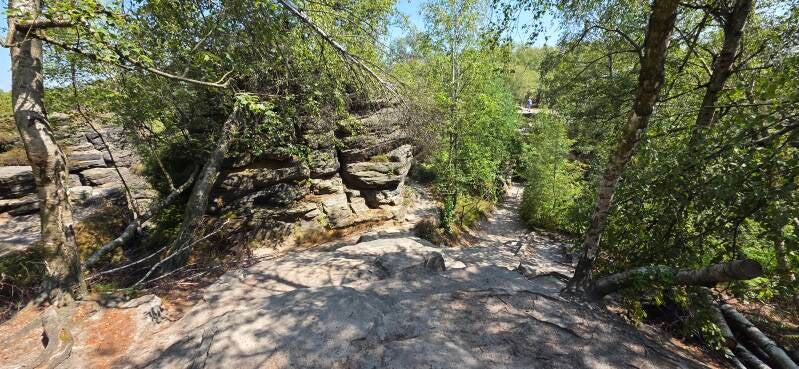 074_tis-tisk-st-ny-rotsen-standard.jpg