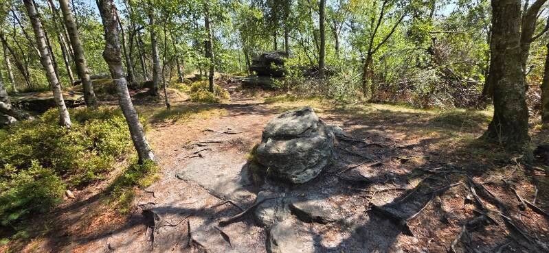 080_tis-tisk-st-ny-rotsen-standard.jpg