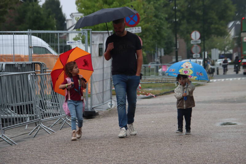 0831-standard.jpg